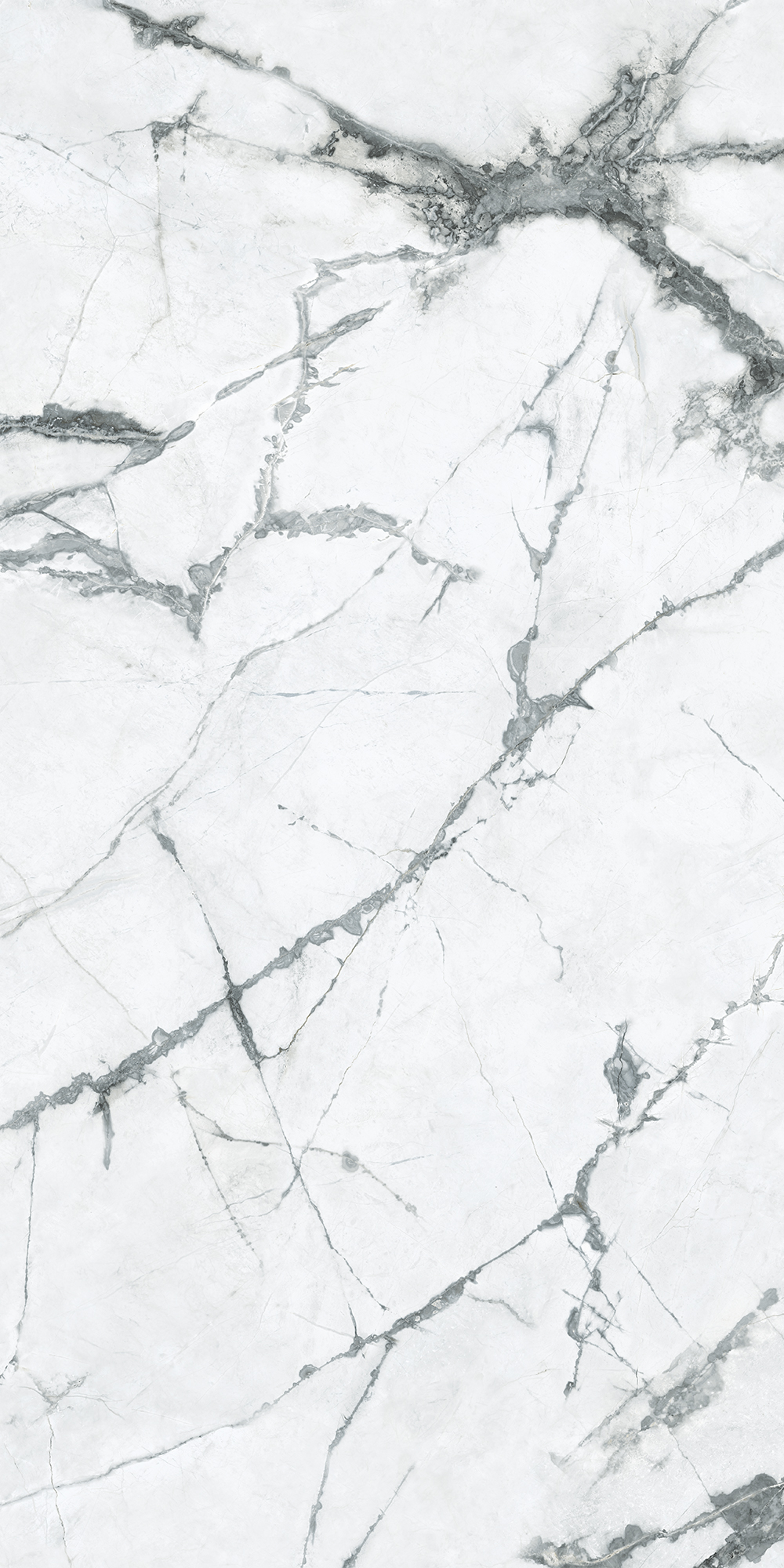 ANIMA EVER MAGNIFICENT WHITE