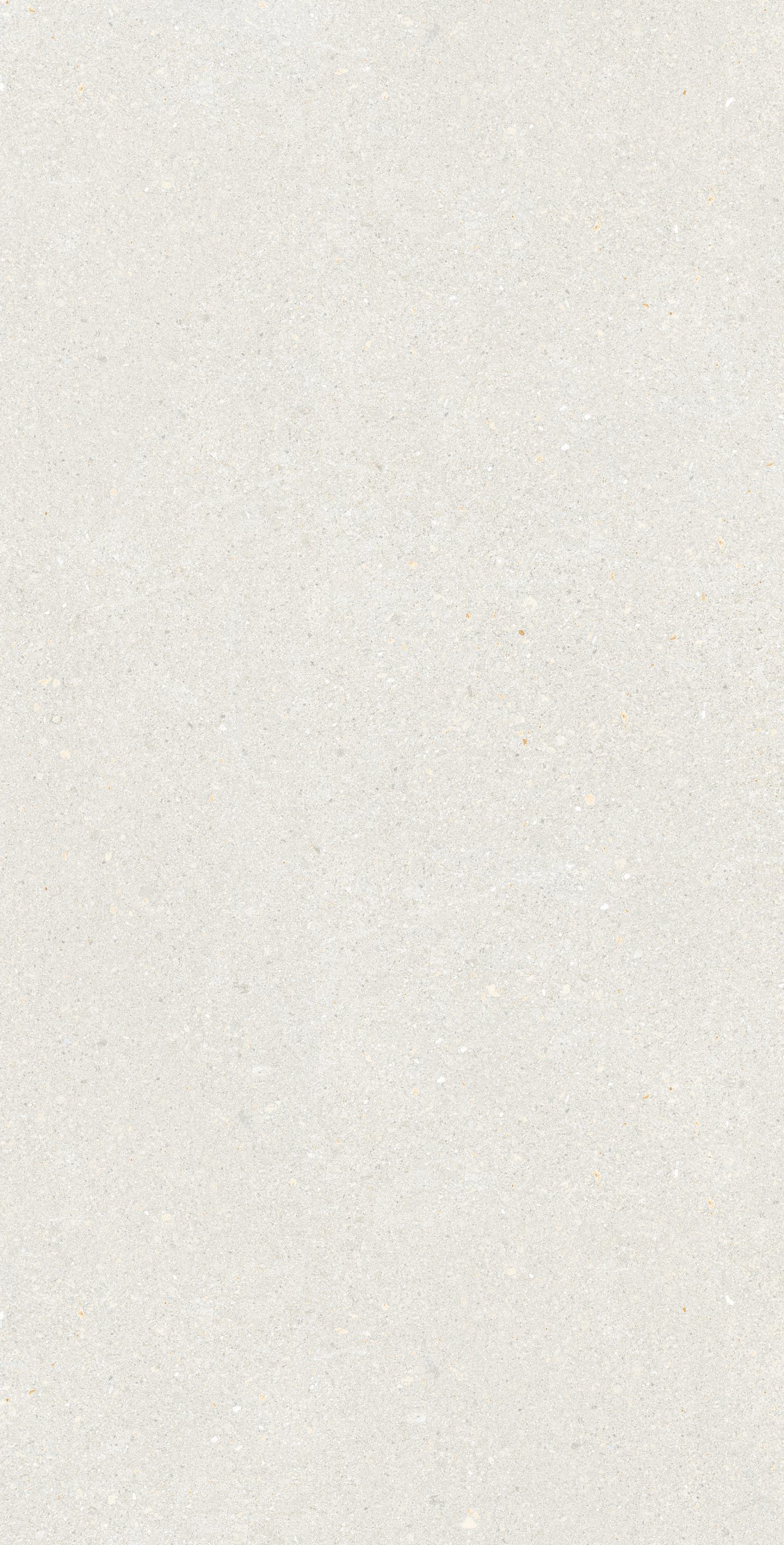 CLASSIC WHITE