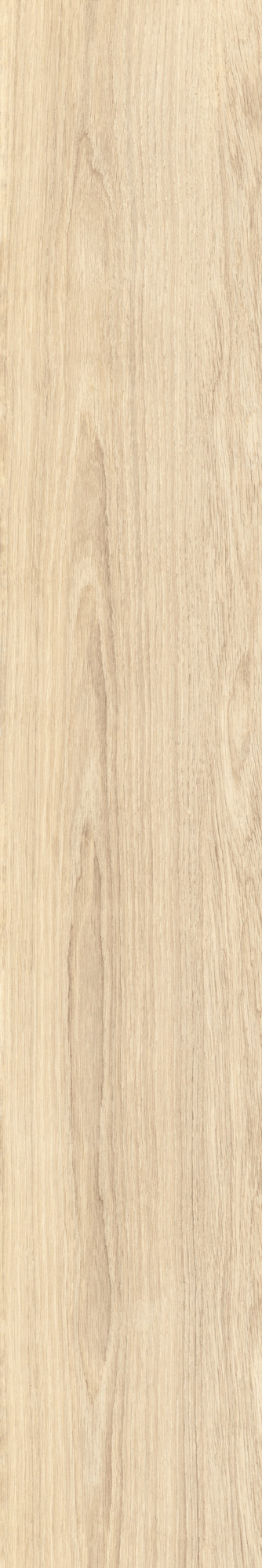 FABULA ROBUR