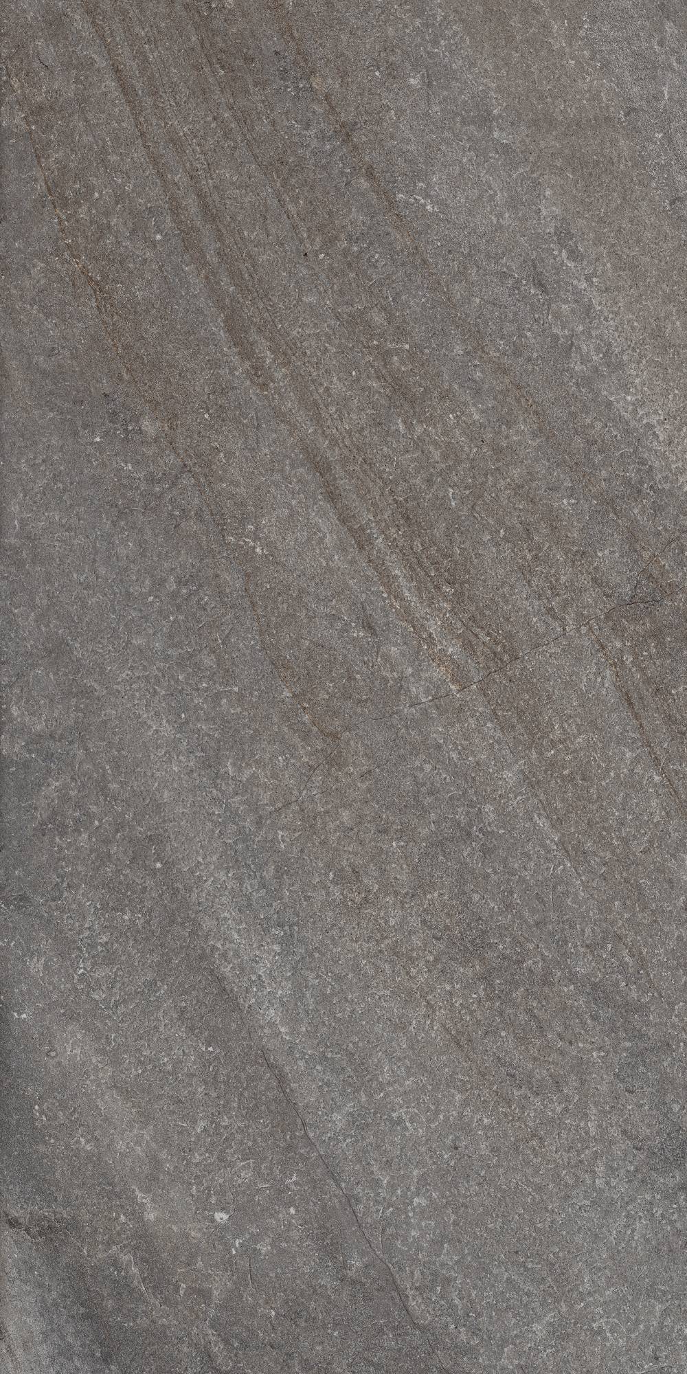 BLENDED DARK
