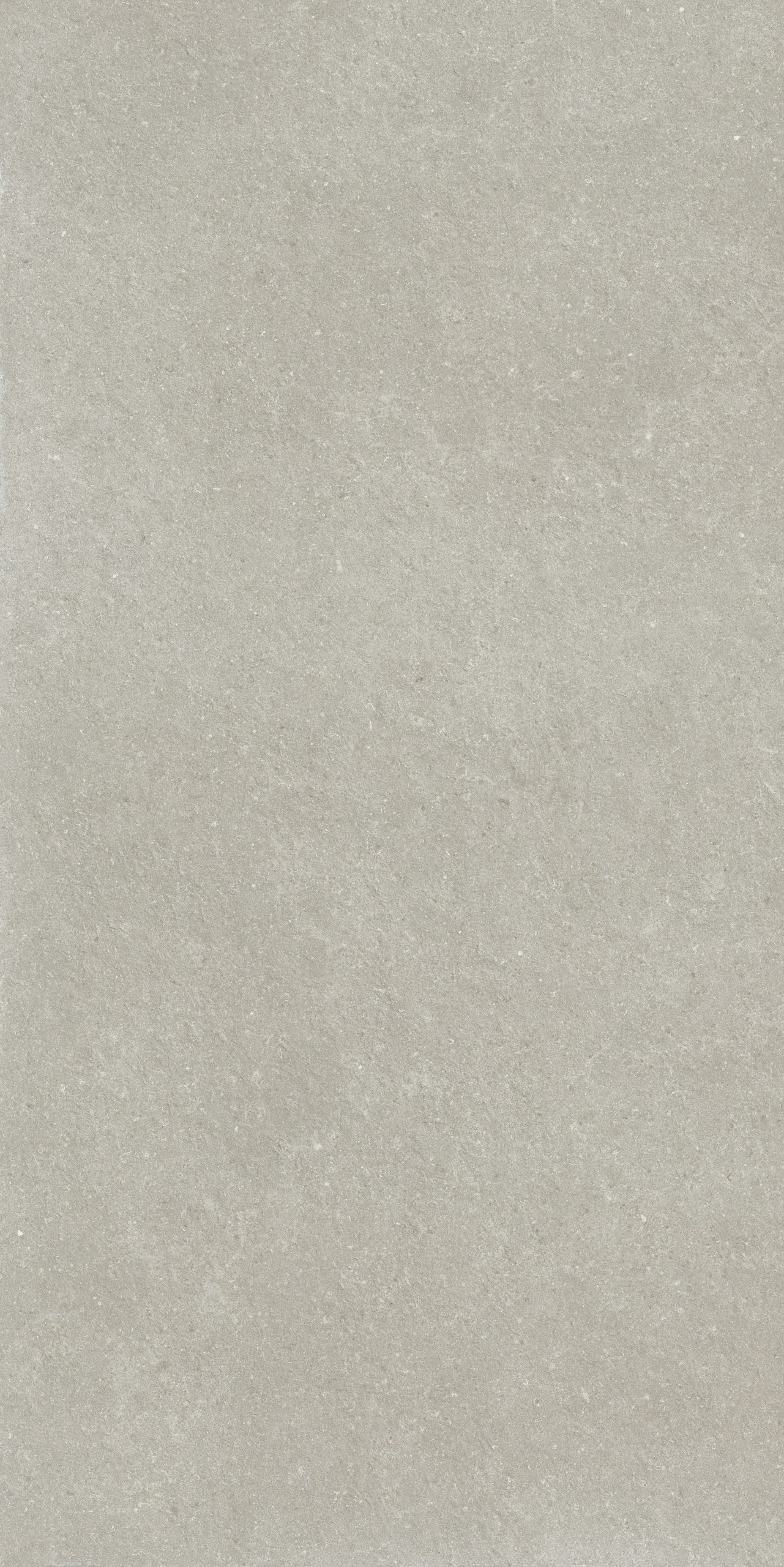 LITHORA GREY