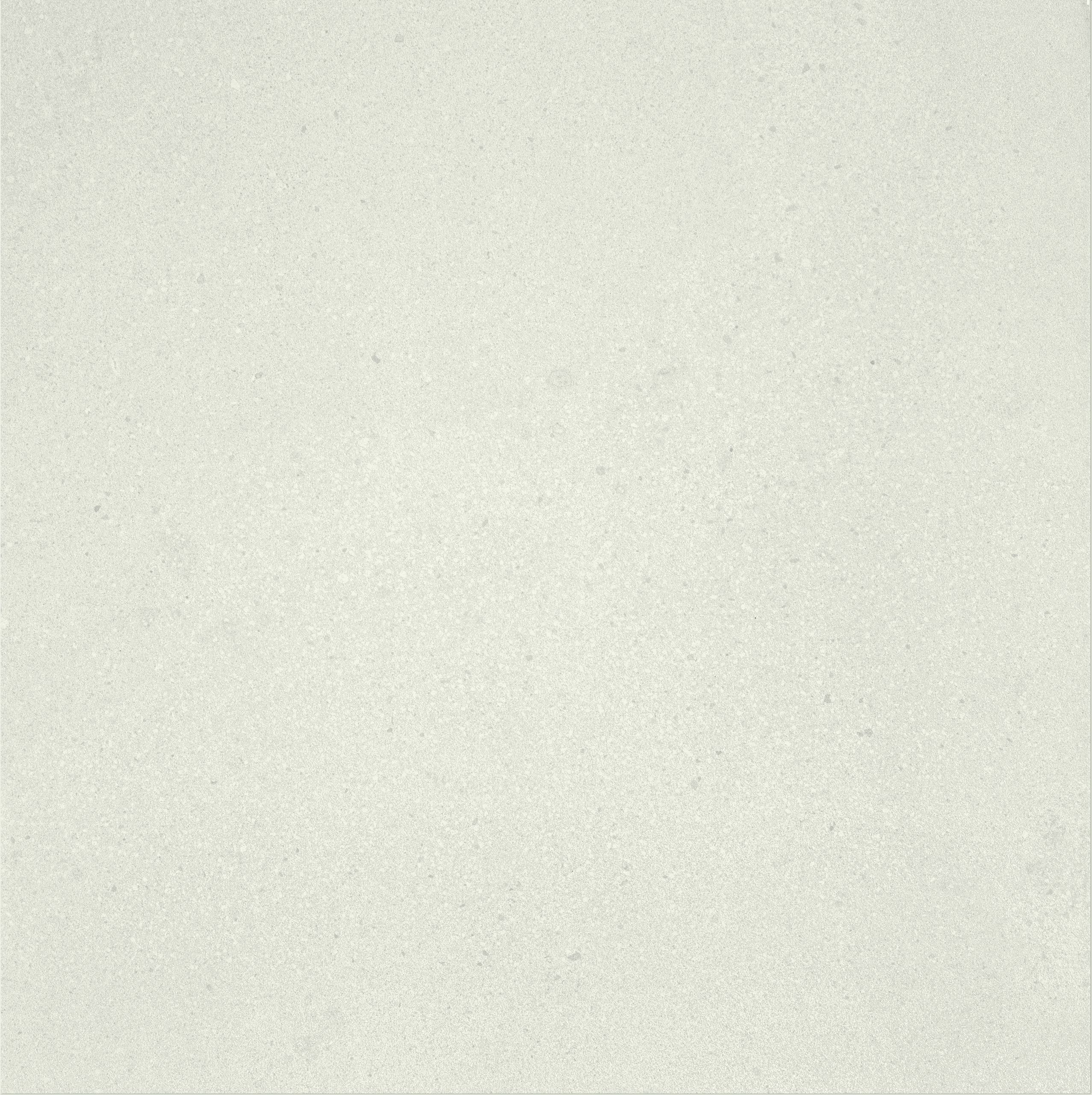 PHASE WHITE